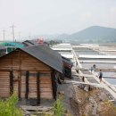 변산반도젓갈 이미지