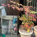 덕성민박 이미지