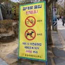 애견운동공원(11~2월) | 가볼만한곳 문경새재 도립공원 문경생태미로공원 오픈세트장 입장료 주차장 애견 전동차 가는길 코스 정보
