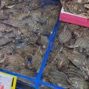 송도상회 이미지