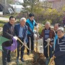 강현 경로당 네이버블로그