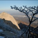 (주)양달말 이미지