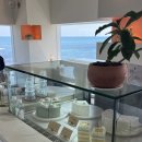 각자의 섬 | 제주 뚜벅이 혼여행 2일차 - 비수기 애호가, 각자의 섬, 소심한 책방, 괜찮은 술책