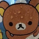 리오동물병원 | “오시리스” 서울이스케이프룸 홍대점 방탈출 후기: 저는 첫 눈에 반하고 만 것입니다...