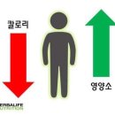드림핏 이미지