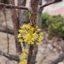 순환의 축복 이미지