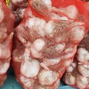 경북대학교 농업생명융합대학원 이미지