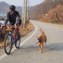 멍멍이가 있는 집 | 그래블라이딩 갔다가 멍멍이와 함께 달린 이야기