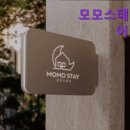 스테이모모