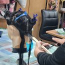 일신남성컷 이미지