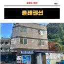 울릉도 올레펜션 | 국내 여행 울릉도 올레펜션 1박2일 후기