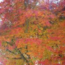 케이엠메디 이미지