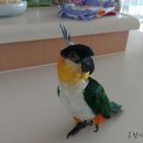 자유로 동물병원 이미지