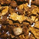 본초경희한의원 이미지