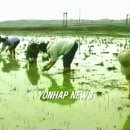 평남농장 이미지