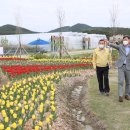 플라워가든 이미지