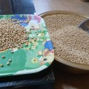 🌈10월 28일 화요일 출석부 이미지