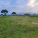 강정동-55 이미지