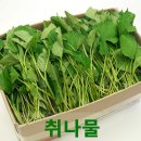 집밥@김밥 이미지
