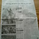 다솔농장 이미지