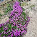 너랑나랑 이미지