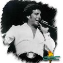 She's A Lady / Tom Jones 이미지