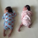 94 | 김해 산후도우미 쌍둥이 산모님들의 후기, 터미타임부터 수유텀 관리까지 꼼꼼했어요