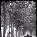 뽑고뽑고 이미지