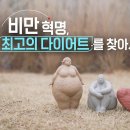 [901회] 생로병사의 비밀/비만 혁명 - 최고의 다이어트를 찾아서 이미지