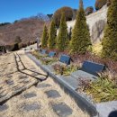 신속묘 | 부산추모공원 수목형 평장묘, 이모부님 장례 후 솔직 후기