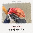 태안 갯벌 ‘신두리 해수욕장’ 갯벌체험 후기