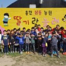 포곡농원 네이버블로그