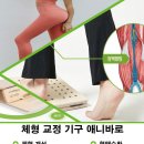 용인대MTA 태권도장 이미지