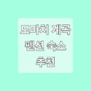도마치벨리 티스토리