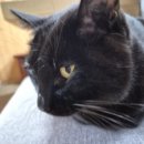 중문동물병원 이미지