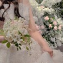 대평로 | [알엔포케스냅] 믿을 수 있는 본식 아이폰 스냅 솔직후기