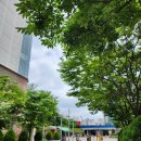 삼산공인중개사사무소 이미지