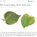 서인농장 이미지