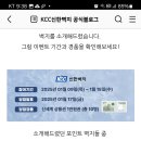 신한벽지 개성있는 인테리어를 위한 포인트 벽지 추천 (~1.15) 이미지