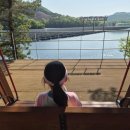 281-2-000020 | 진천 농다리 코스 완벽정리, 초평호 둘레길부터 미르309 출렁다리·황토맨발숲길까지 한바퀴 후기