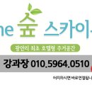 광안 더숲스카이뷰 네이버블로그