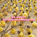 부용고등학교 이미지