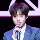 마카오박 이미지