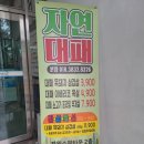 싱싱영어학원 | [ 마루의 맛집 후기 ] 33. 창원 주남저수지 맛집 "자연대패"
