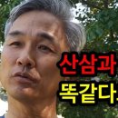 대한인삼 이미지