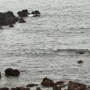 소담식당.김밥 | 제주 마지막 날 일상✨ 맛나식당·제주고씨네·늘소담·용두암