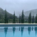 시밀레스테이 이미지