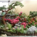 일산3리 이미지