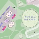 홍천사과제일 영농조합법인 이미지