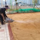 대구국우초등학교 이미지